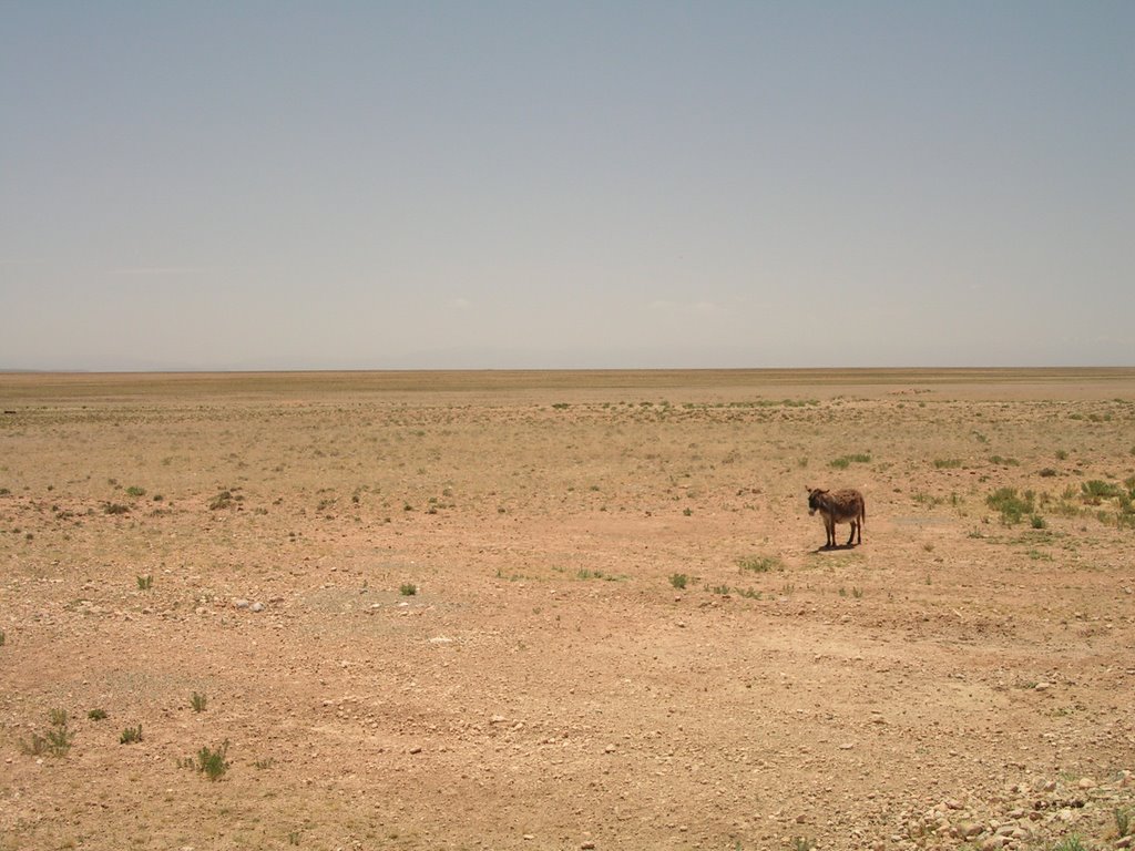 enjil morocco 
