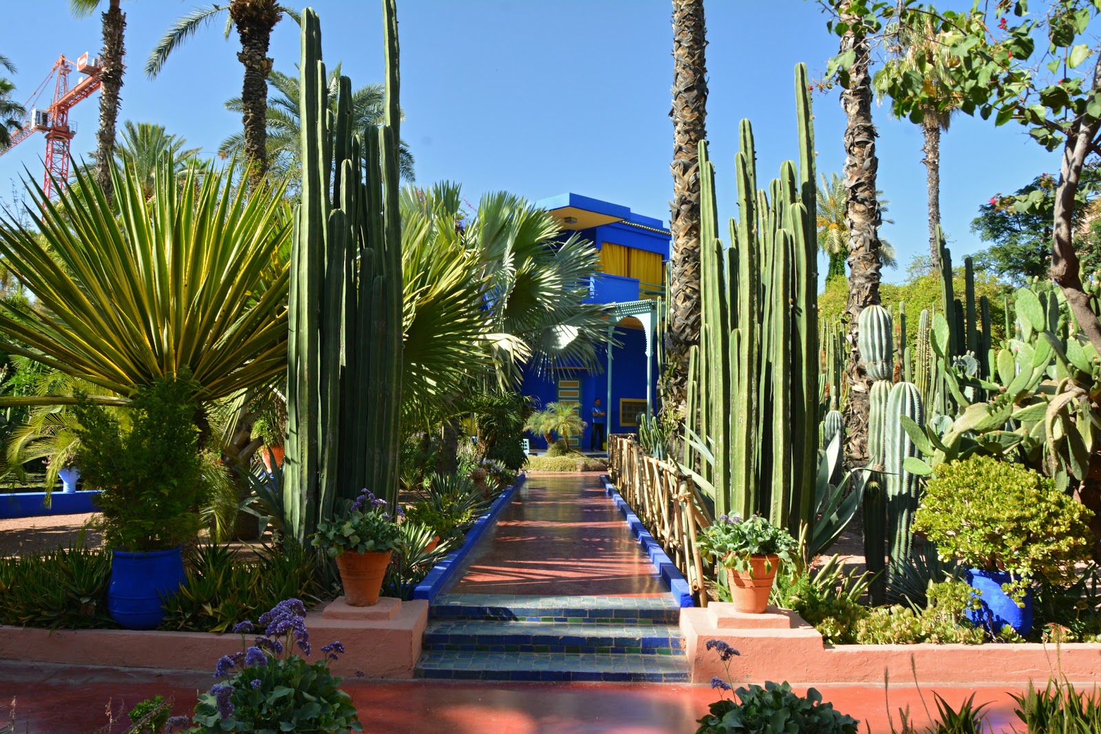 Jardin Majorelle, parc, Points d'intérêts, Commune Marrakech, Communes