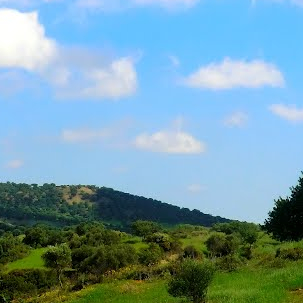 Album photo Oualili / Volubilis 