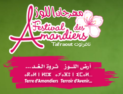 Festival des amandiers de Tafraout