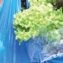 Taourirt, Collecte de plus de 18 tonnes de sacs en plastique, Le Matin
