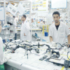Leoni s'offre une nouvelle usine au Maroc  pour son client General Motors