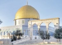 مدينة الجديدة تستقبل أطفال القدس