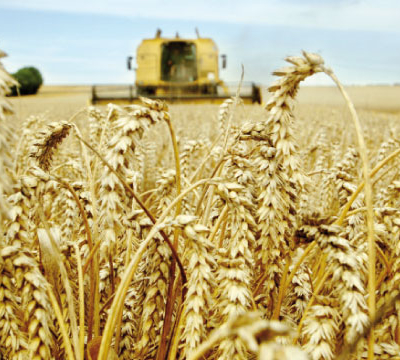 La campagne agricole se déroule  dans des conditions favorables