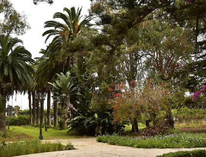 Jardin d'Essais Botaniques, Rabat