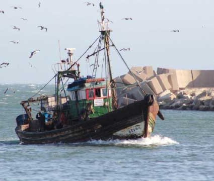 Grogne des professionnels de la pêche côtière