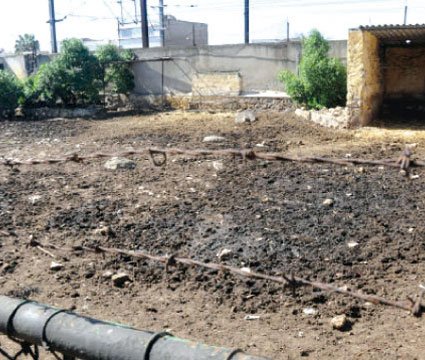 Lancement du processus de rénovation du zoo de Aïn Sebaâ