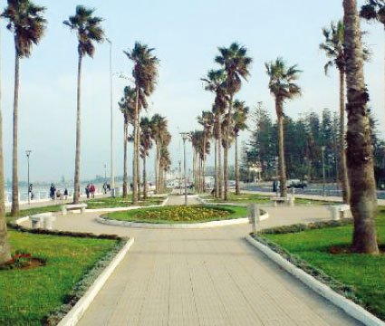 El Jadida se met au vert