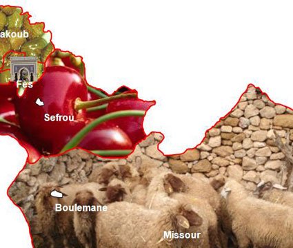 Les produits du terroir mis en valeur à Fès-Boulemane