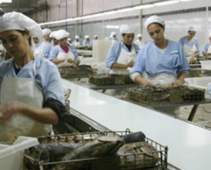 22 dossiers ont généré 464 millions de dirhams d’investissement