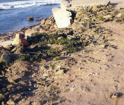 Le littoral sérieusement menacé