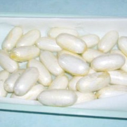 Arrestation d’un Nigérian en possession de drogue