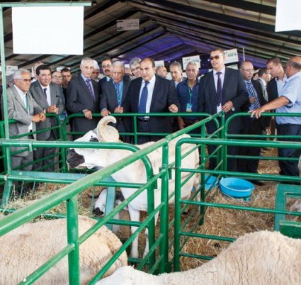 Le Salon international de développement de l'élevage Tadla-Azilal prône les retombées de l'élevage