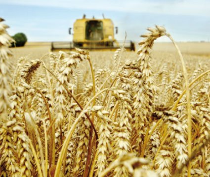 La campagne agricole se déroule dans des conditions favorables