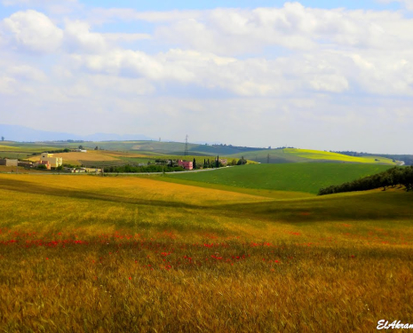 &copy; &copy; panoramio / elakramine, http://www.panoramio.com/user/831427