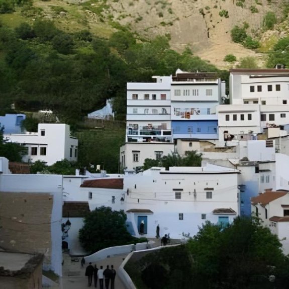 Dar Dalia