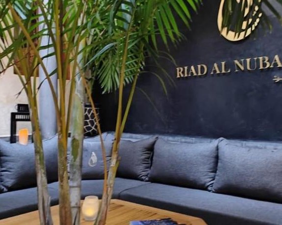 Riad Al Nubala
