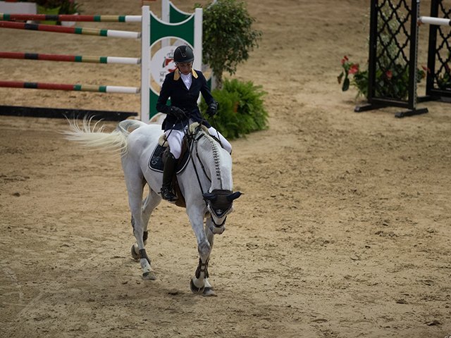&copy; Salon du Cheval / Association du Salon du Cheval