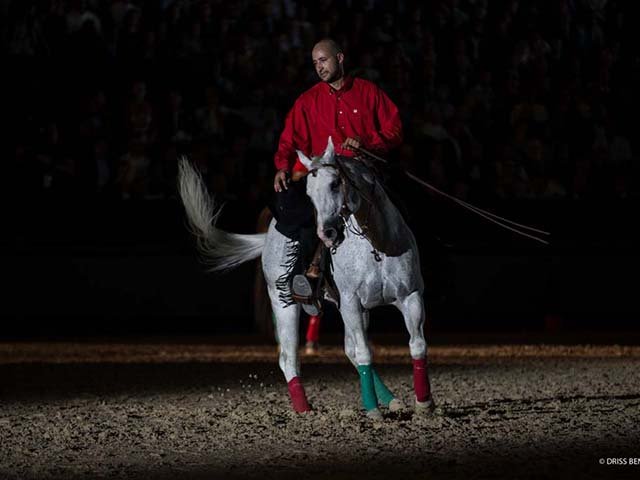 &copy; Salon du Cheval / Association du Salon du Cheval
