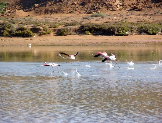 &copy; panoramio / Fouderg, http://www.panoramio.com/user/782549
