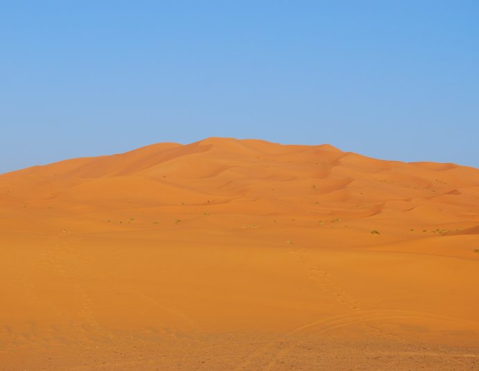 &copy; Wikipédia