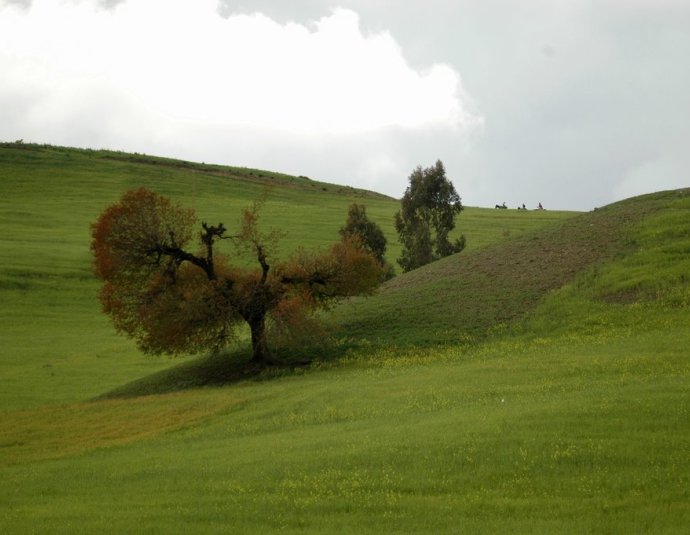 &copy; panoramio / f.alvarez, http://www.panoramio.com/user/142434