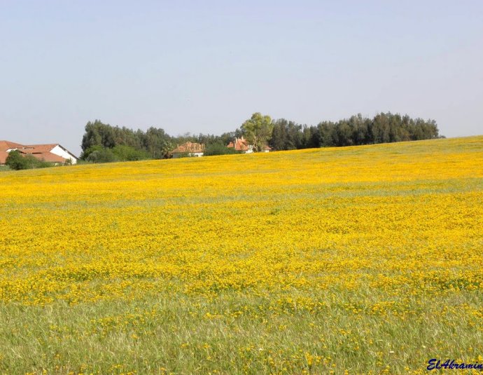 &copy; panoramio / elakramine, http://www.panoramio.com/user/831427