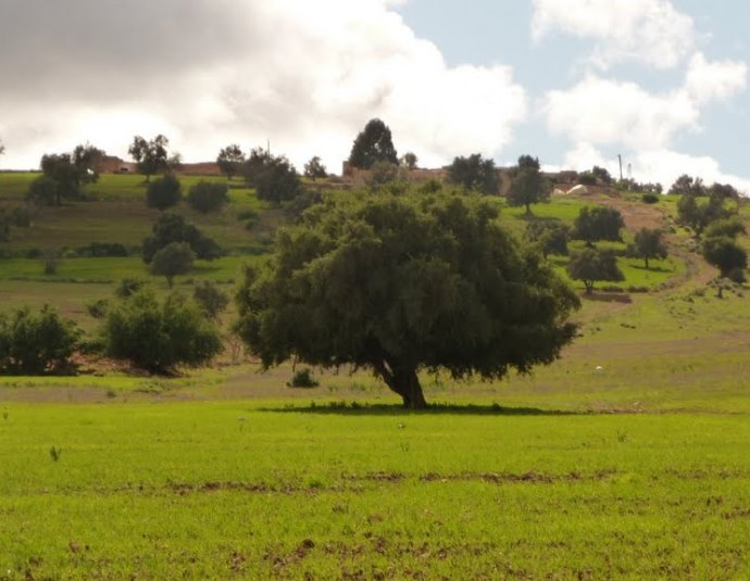 &copy; panoramio / SambaSamba, http://www.panoramio.com/user/4238022
