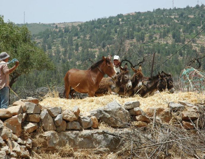 &copy; panoramio / Ben de Graaf Bierbrauwer, http://www.panoramio.com/user/1138231