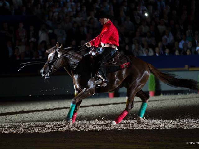 &copy; Salon du Cheval / Association du Salon du Cheval