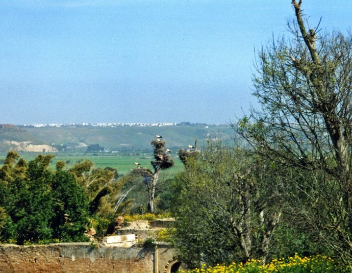 &copy; panoramio / ? vinicio-1, http://www.panoramio.com/user/1269373