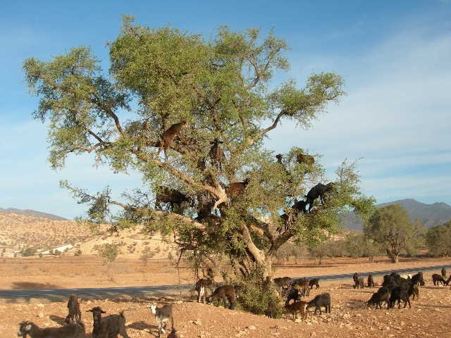 &copy; panoramio / Shustikov, http://www.panoramio.com/user/75902