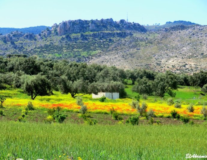 &copy; panoramio / elakramine, http://www.panoramio.com/user/831427
