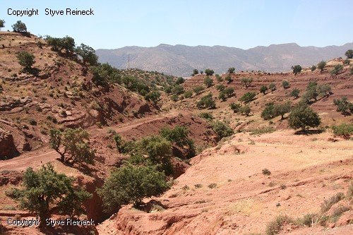 &copy; panoramio / Styve Reineck, http://www.panoramio.com/user/240236