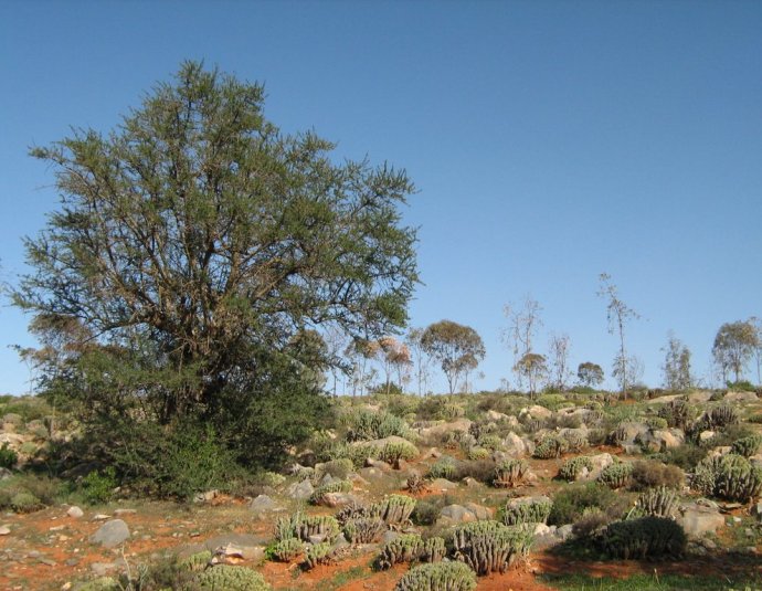 &copy; panoramio / Michal.Hugo.Kostal, http://www.panoramio.com/user/1190143