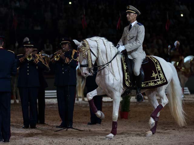 &copy; Salon du Cheval / Association du Salon du Cheval