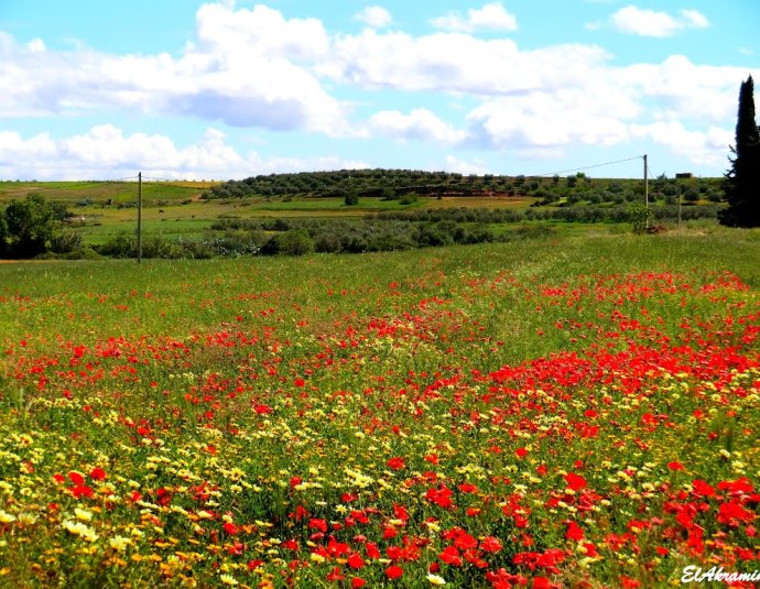 &copy; panoramio / elakramine, http://www.panoramio.com/user/831427