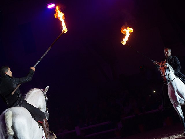 &copy; Salon du Cheval / Association du Salon du Cheval