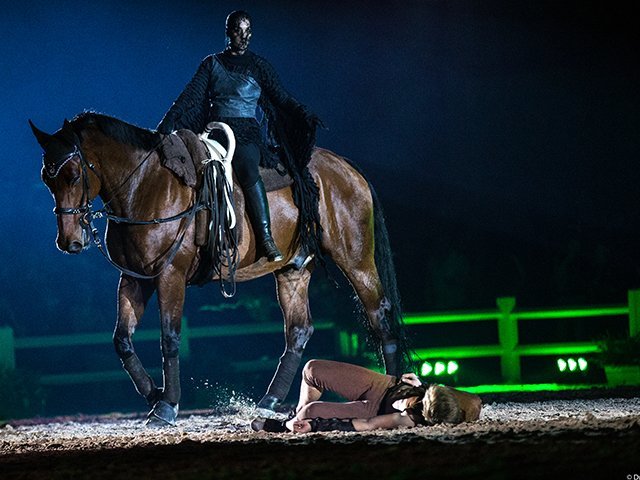 &copy; Salon du Cheval / Association du Salon du Cheval