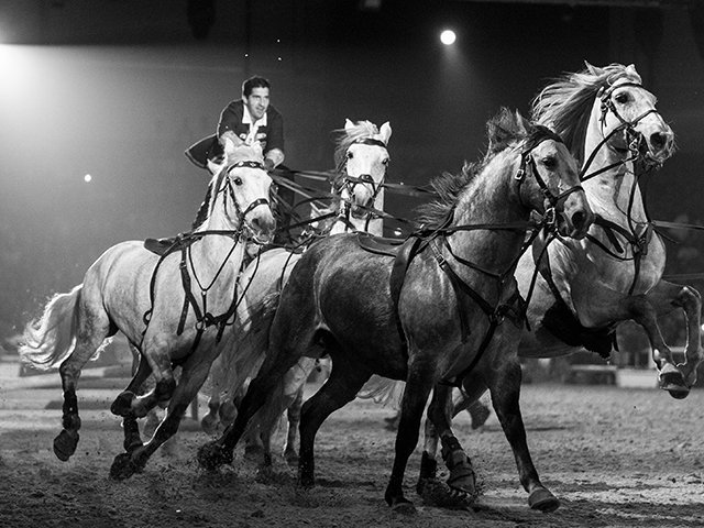 &copy; Salon du Cheval / Association du Salon du Cheval
