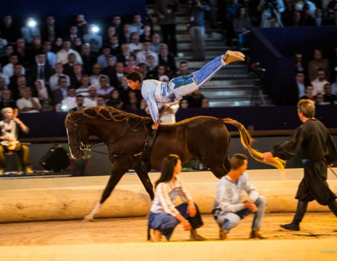 &copy; Salon du Cheval / Association du Salon du Cheval