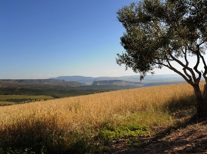 &copy; panoramio / Laszlo Koza, http://www.panoramio.com/user/2653600