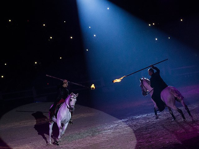&copy; Salon du Cheval / Association du Salon du Cheval