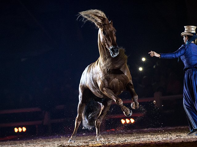 &copy; Salon du Cheval / Association du Salon du Cheval