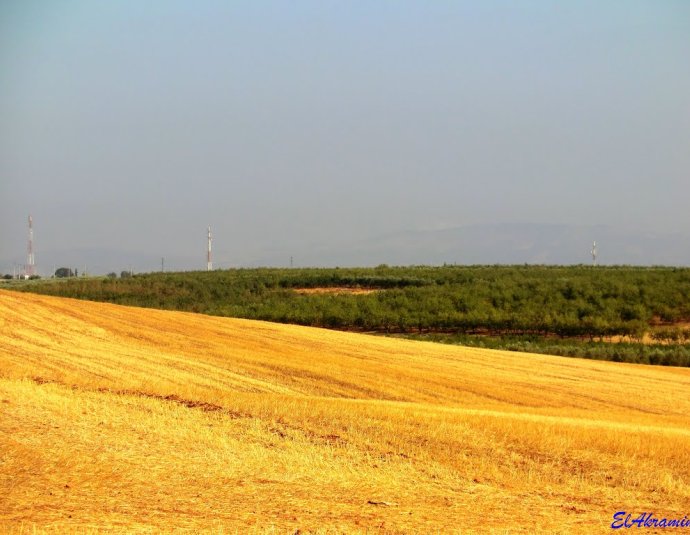&copy; panoramio / elakramine, http://www.panoramio.com/user/831427