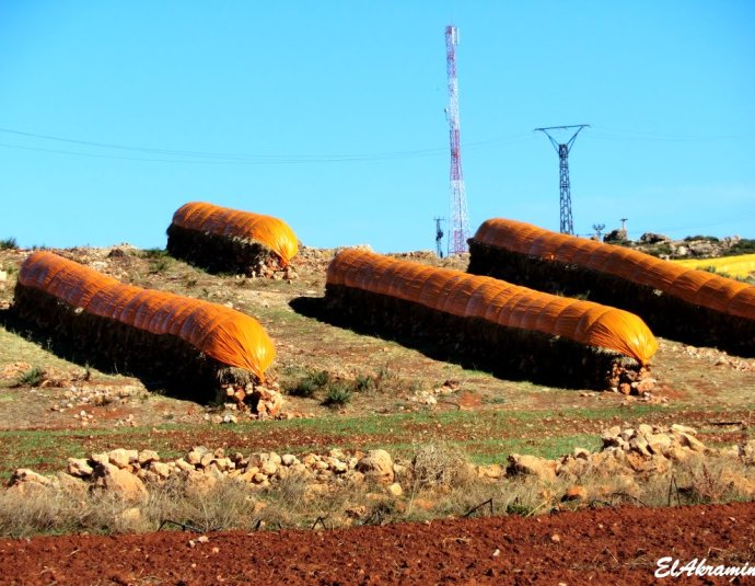 &copy; panoramio / elakramine, http://www.panoramio.com/user/831427