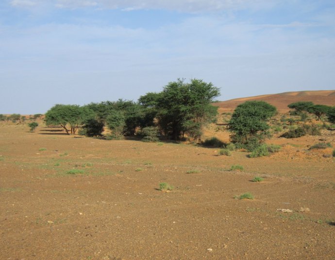&copy; argansmara.com / Coopérative Dar Argan Smara