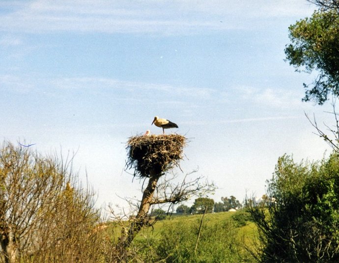 &copy; panoramio / ? vinicio-1, http://www.panoramio.com/user/1269373