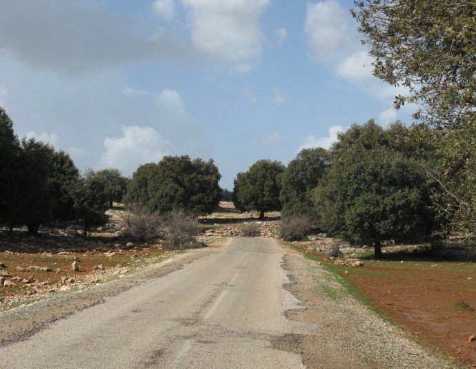 &copy; panoramio / elakramine, http://www.panoramio.com/user/831427