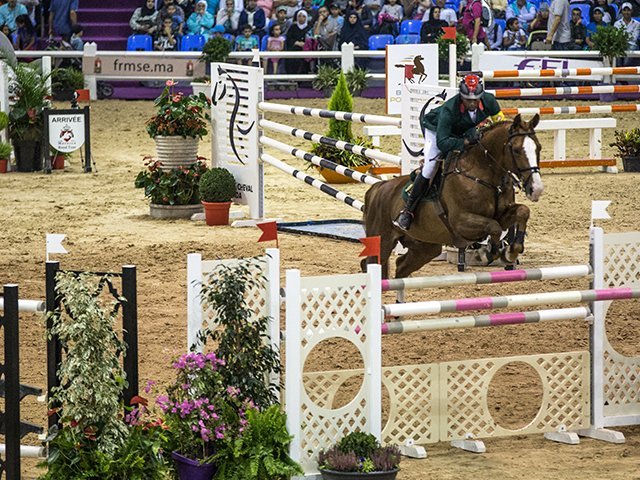 &copy; Salon du Cheval / Association du Salon du Cheval